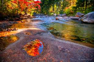 Jefferson Brook-9717.jpg Jefferson Brook-9717.jpg